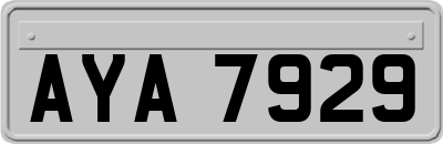 AYA7929