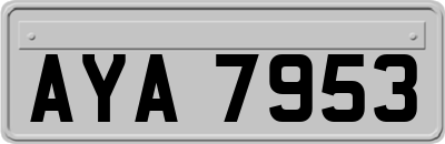 AYA7953