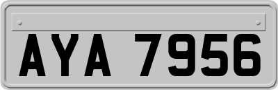 AYA7956