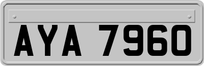 AYA7960