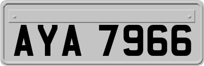 AYA7966