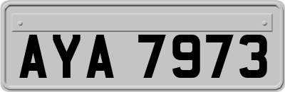 AYA7973