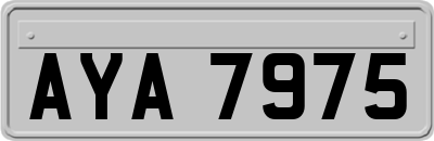 AYA7975