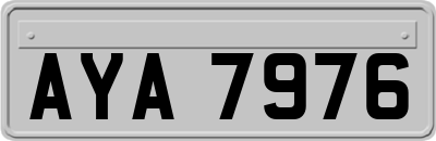 AYA7976