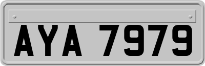 AYA7979