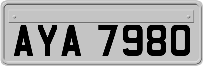 AYA7980