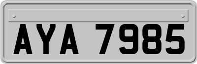 AYA7985
