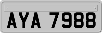 AYA7988