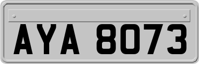 AYA8073