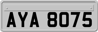 AYA8075