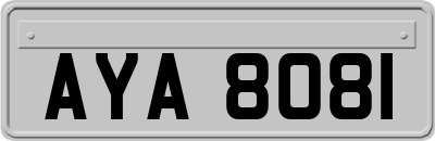AYA8081