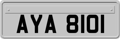 AYA8101