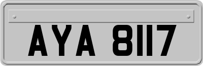 AYA8117