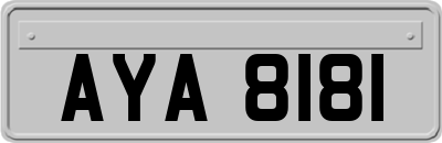 AYA8181