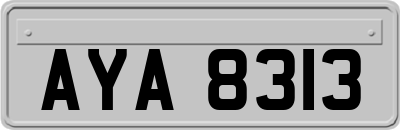 AYA8313