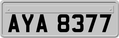 AYA8377