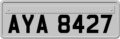 AYA8427