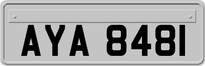 AYA8481