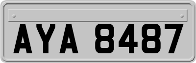 AYA8487