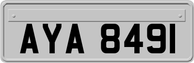 AYA8491