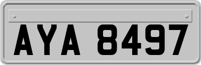 AYA8497