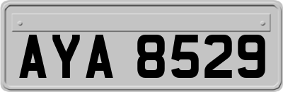 AYA8529