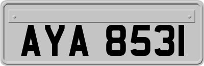 AYA8531