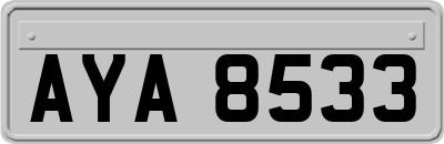 AYA8533