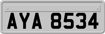 AYA8534