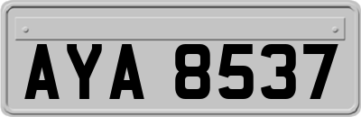 AYA8537