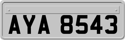 AYA8543