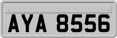 AYA8556