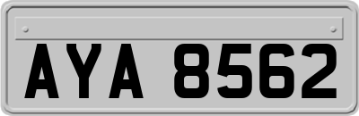 AYA8562