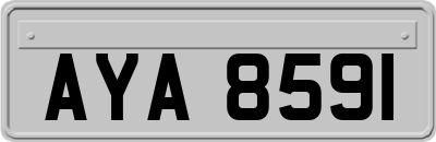 AYA8591