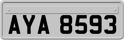 AYA8593