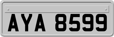 AYA8599