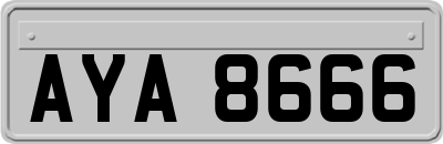 AYA8666
