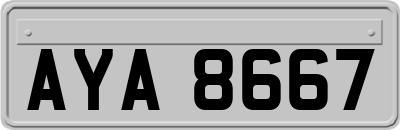 AYA8667