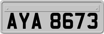 AYA8673
