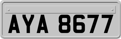 AYA8677