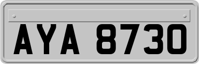 AYA8730