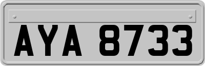 AYA8733