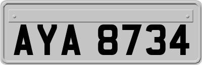 AYA8734