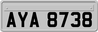 AYA8738