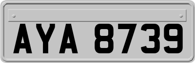 AYA8739