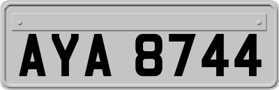 AYA8744