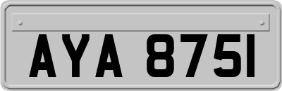 AYA8751