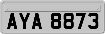 AYA8873