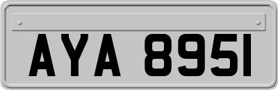 AYA8951