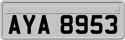 AYA8953